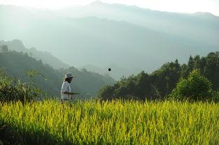 娱乐吃瓜酱拐进山里,拐进神秘山林探险记