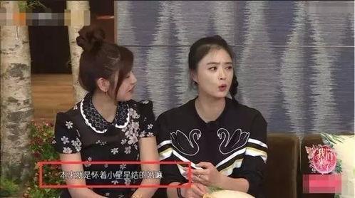 娱乐圈专业吃瓜群众