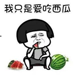 娱乐吃瓜酱专属梗图片,图解娱乐圈那些事儿